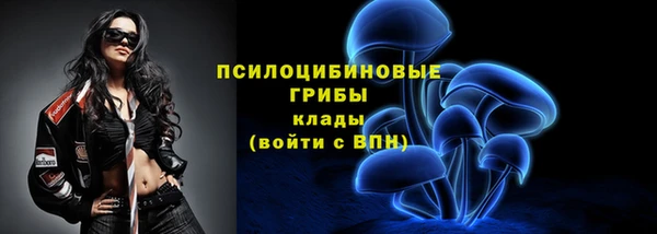 шишки Лабытнанги