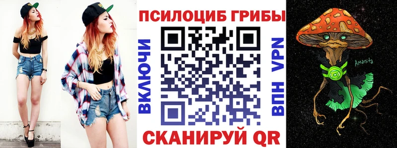 OMG ссылка  Фатеж  Псилоцибиновые грибы Psilocybine cubensis  как найти  